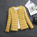 Light Yellow