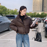 Women's New Short Jacket With Stand-up Collar For Petite