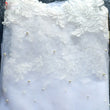 Exquisite Lace Black Veil Pearl Bridal Veil